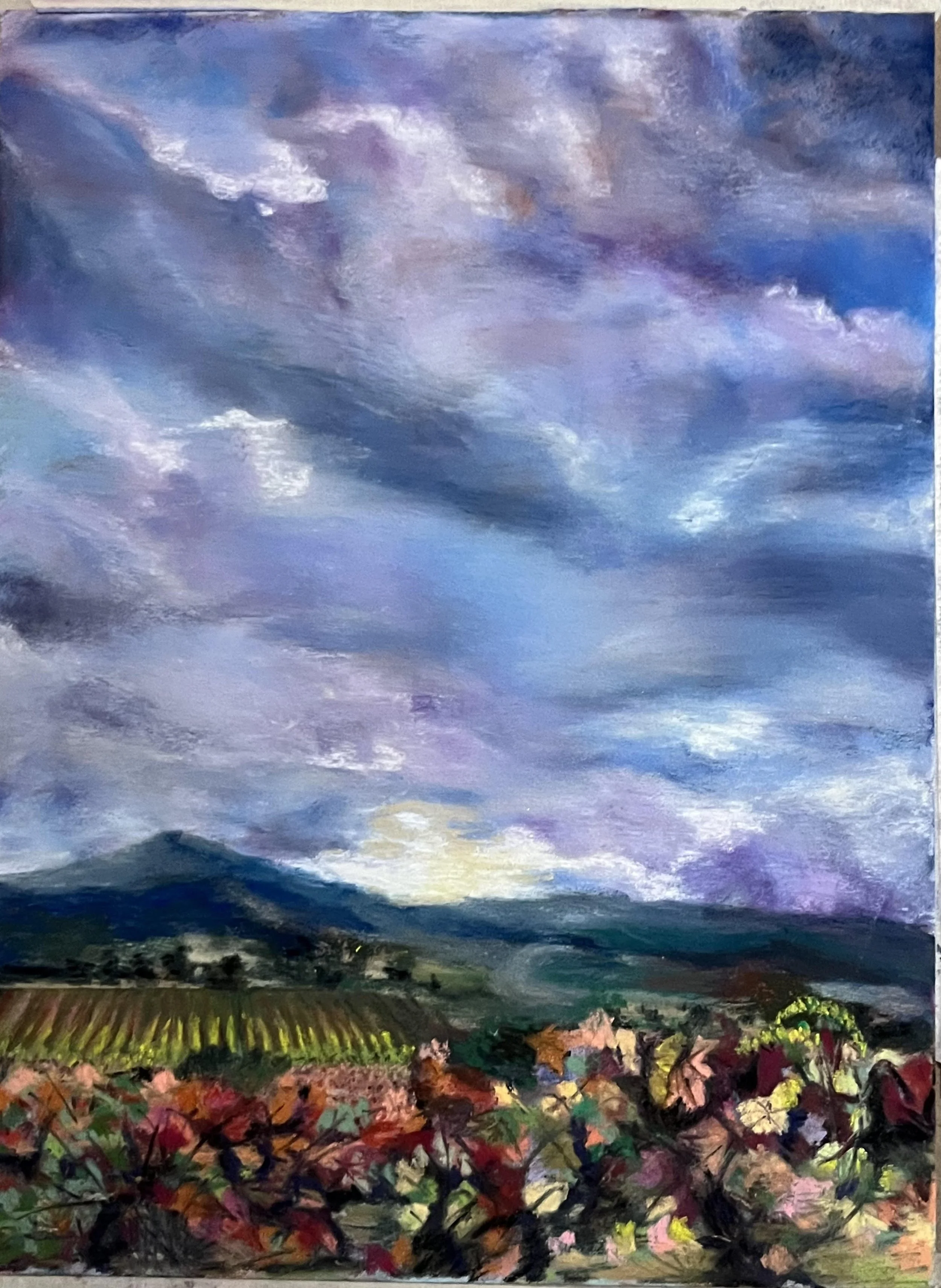 Vineyard in France.jpg