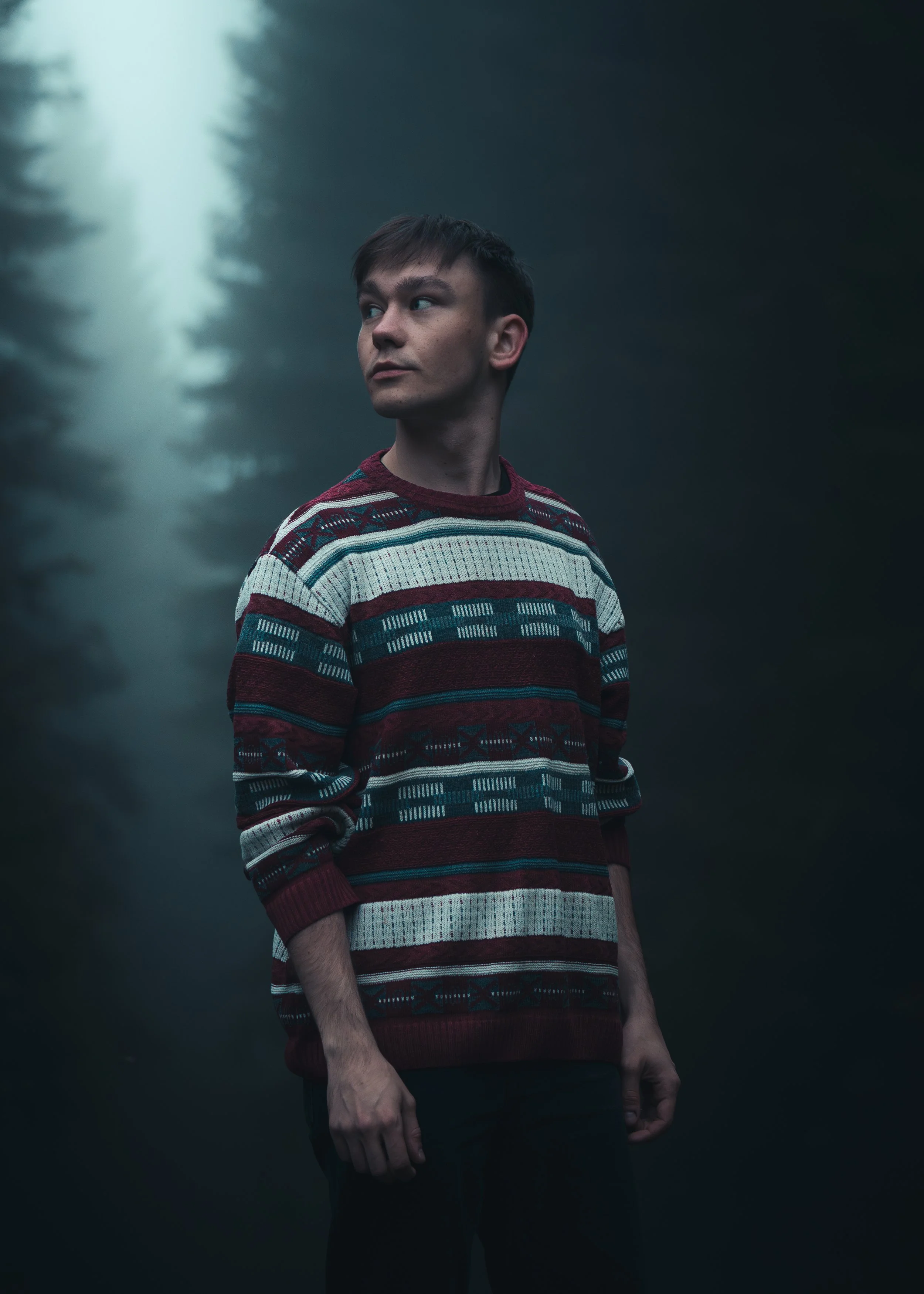 Portret mężczyzny w swetrze w mglistym lesie
