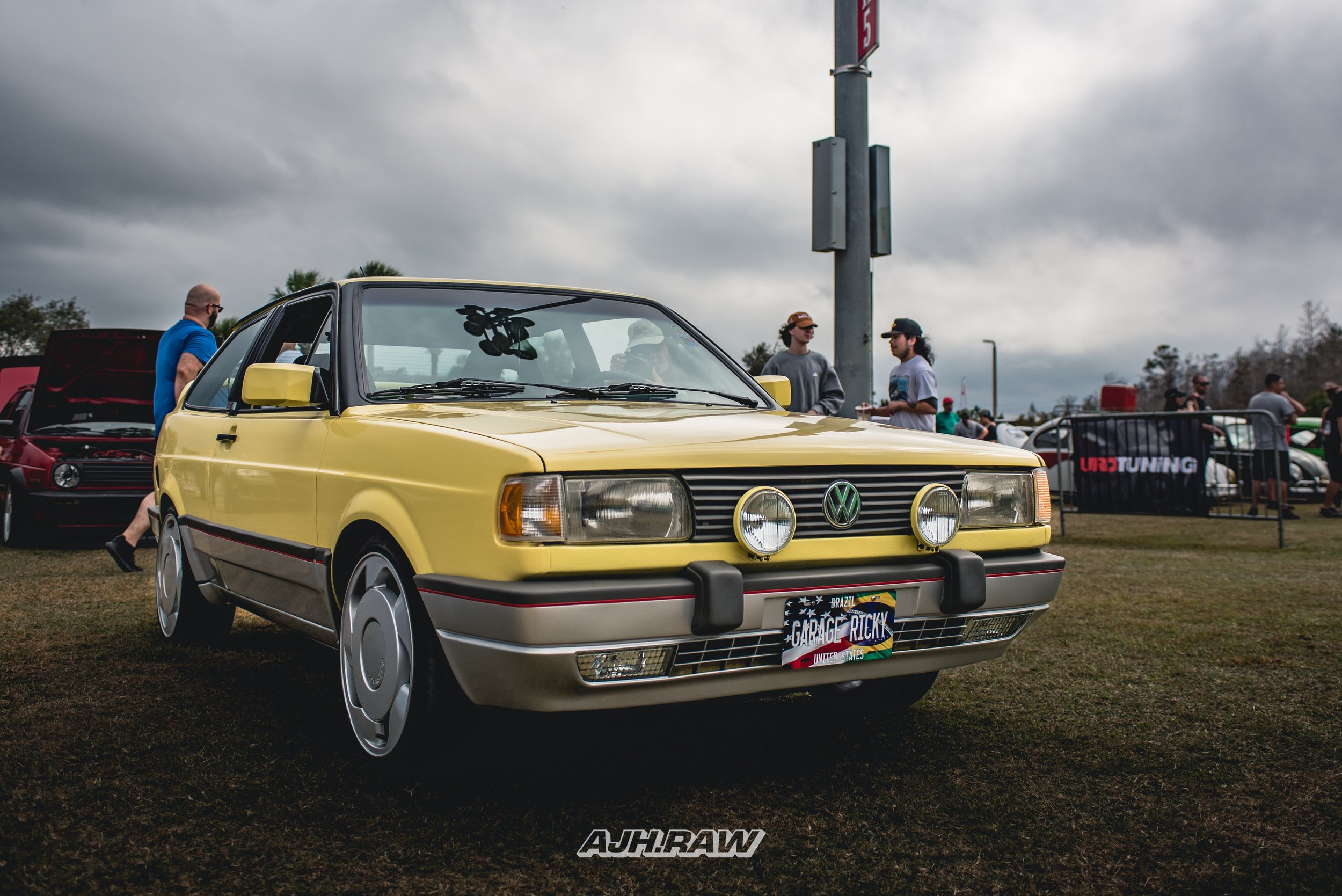 DSC_0206.jpg