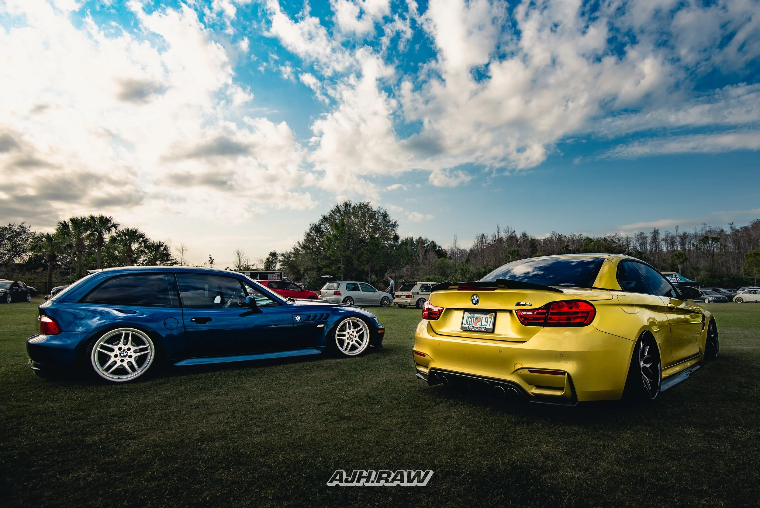 DSC_8110-4.jpg
