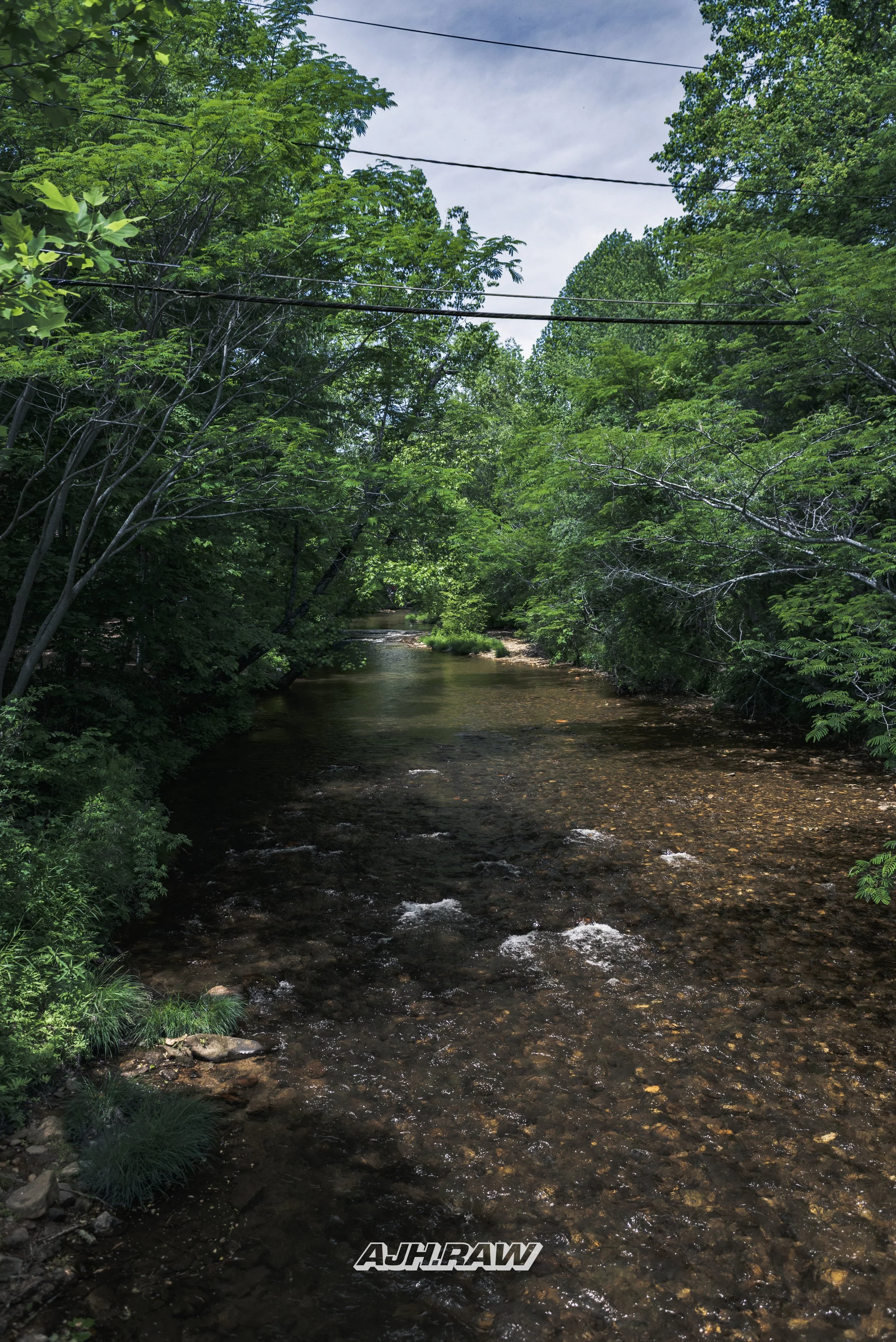 AJH_5445.jpg