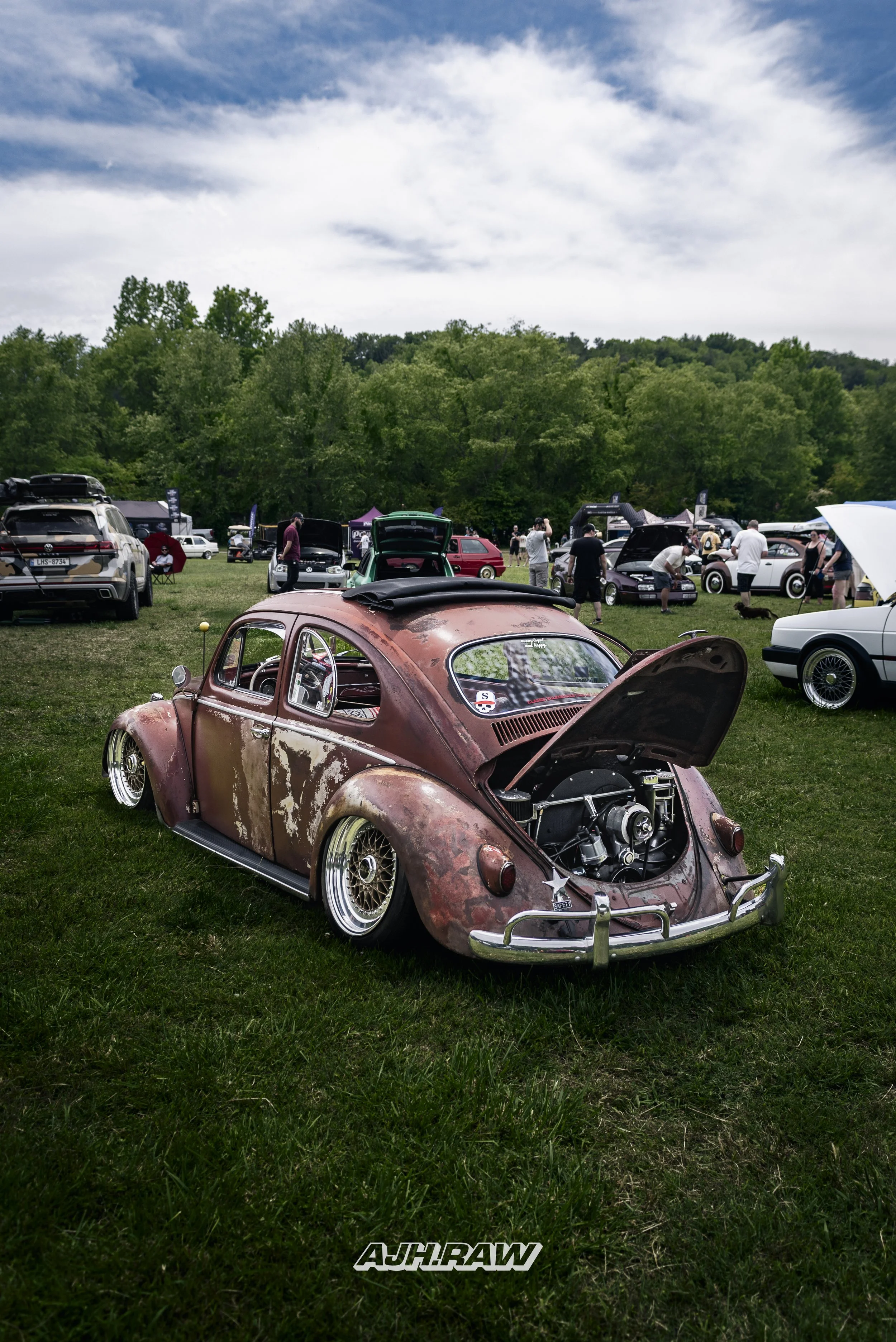 AJH_5596.jpg