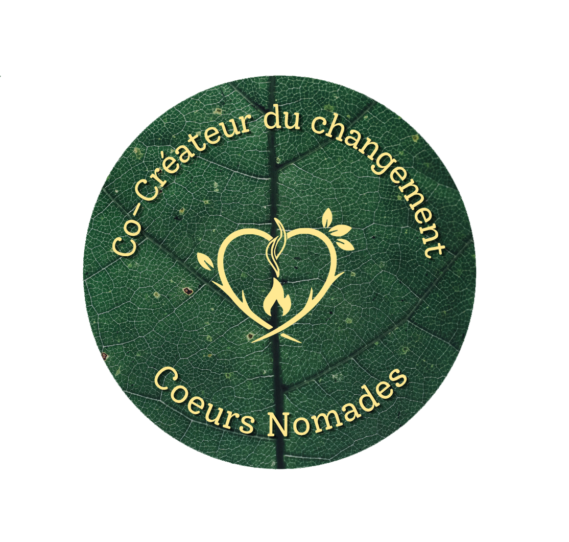 Coffret Co-Créateur du Changement