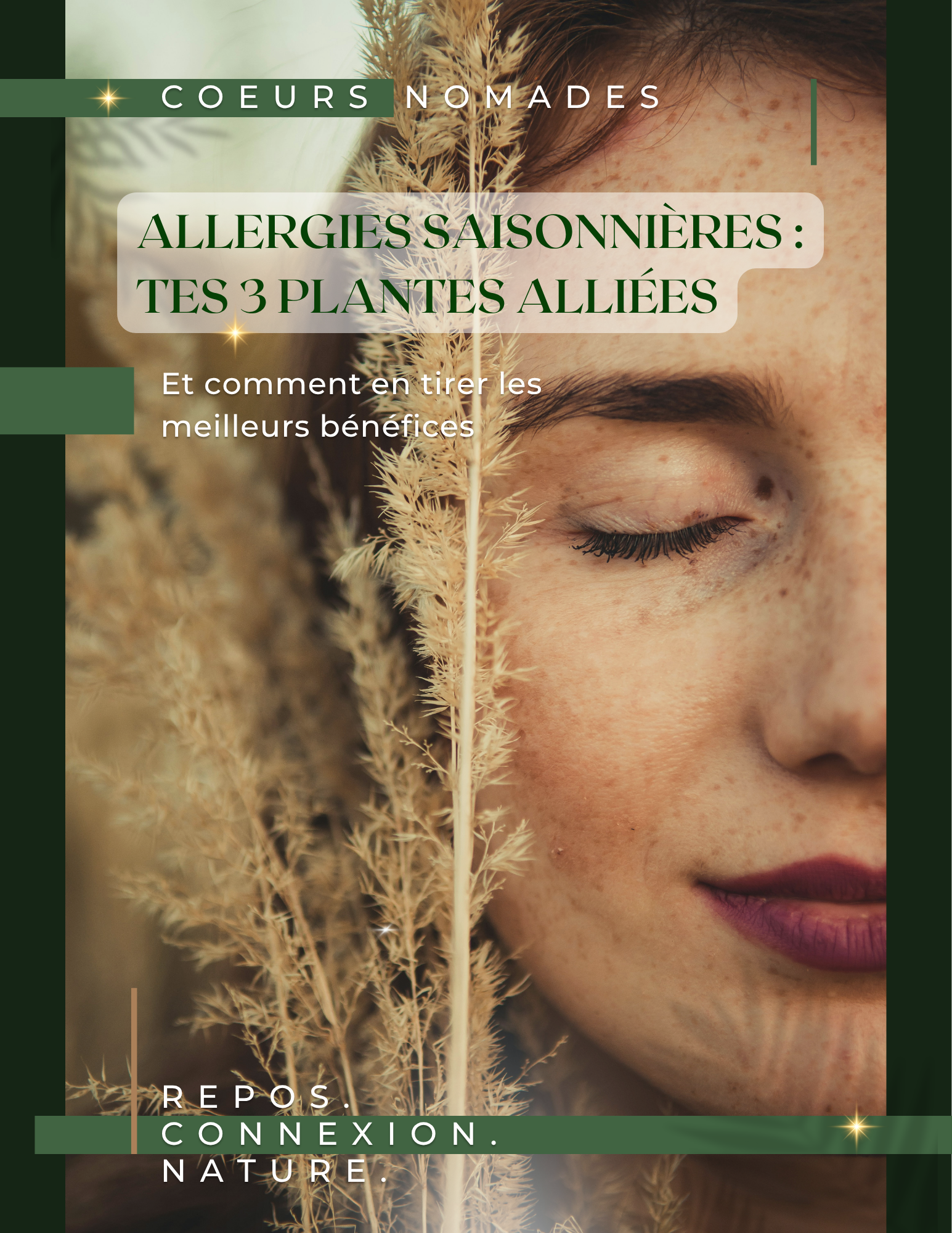Allergies saisonnières  tes 3 plantes alliées.png