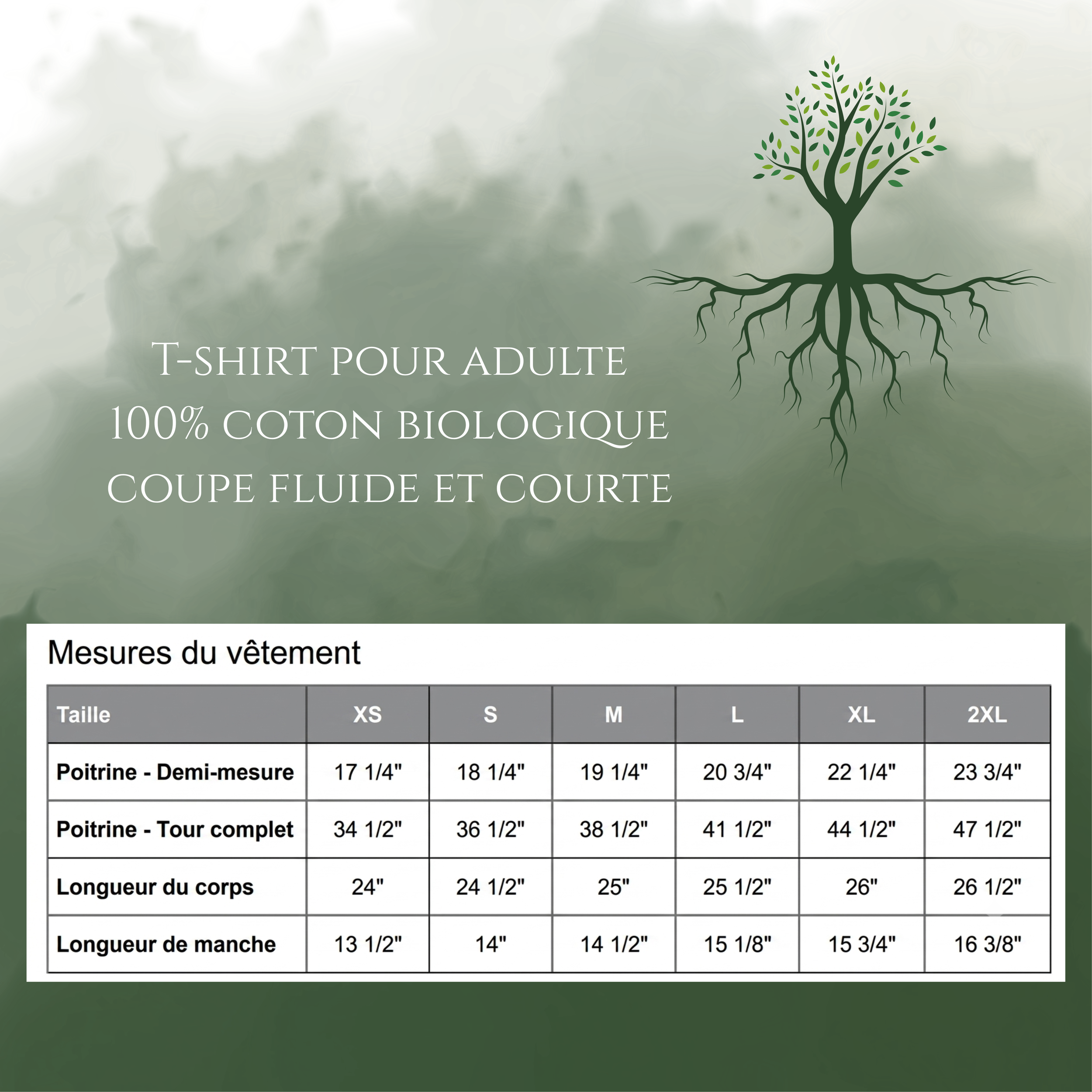 mensurations t-shirts - fluide court.png