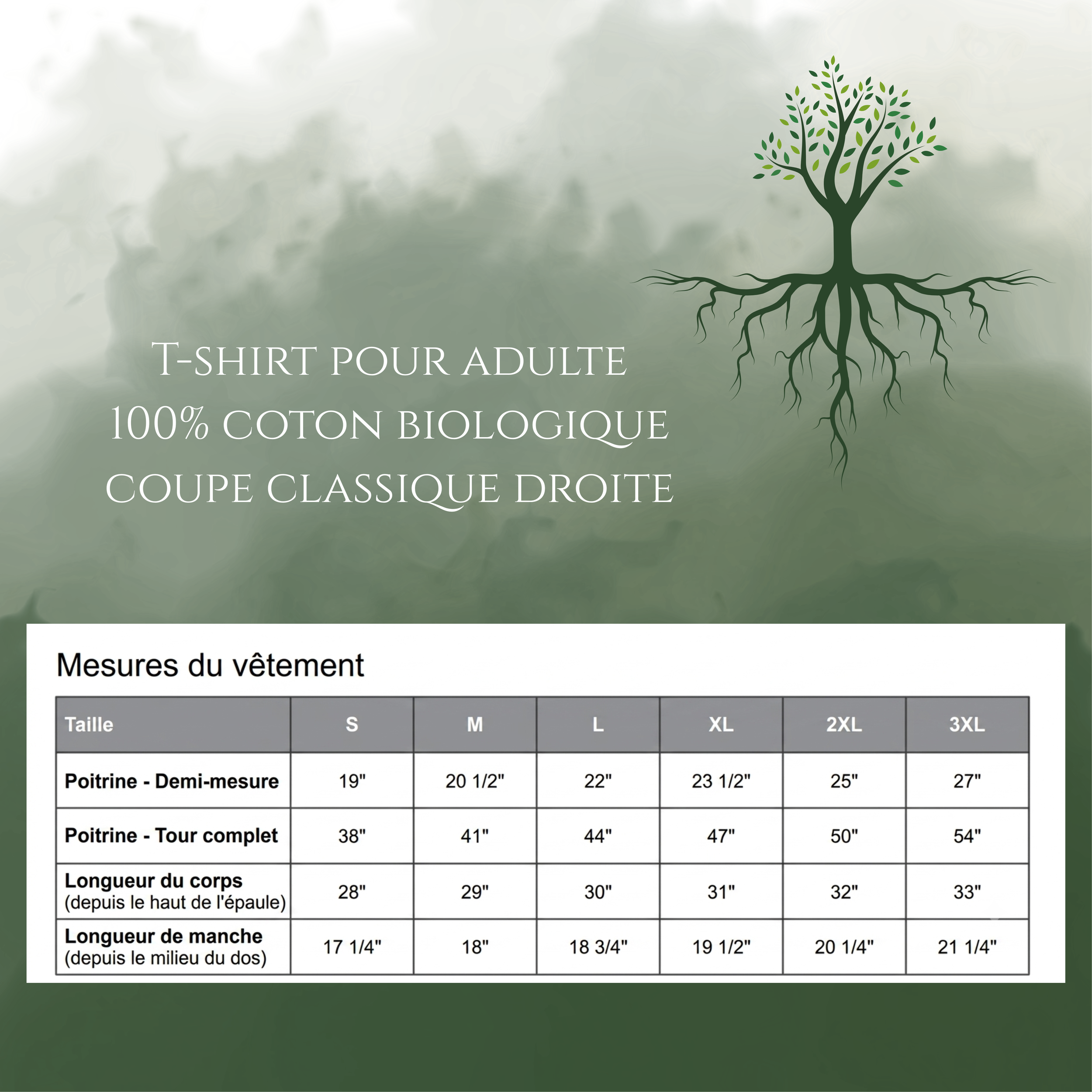 mensurations t-shirts - classique-droite.png