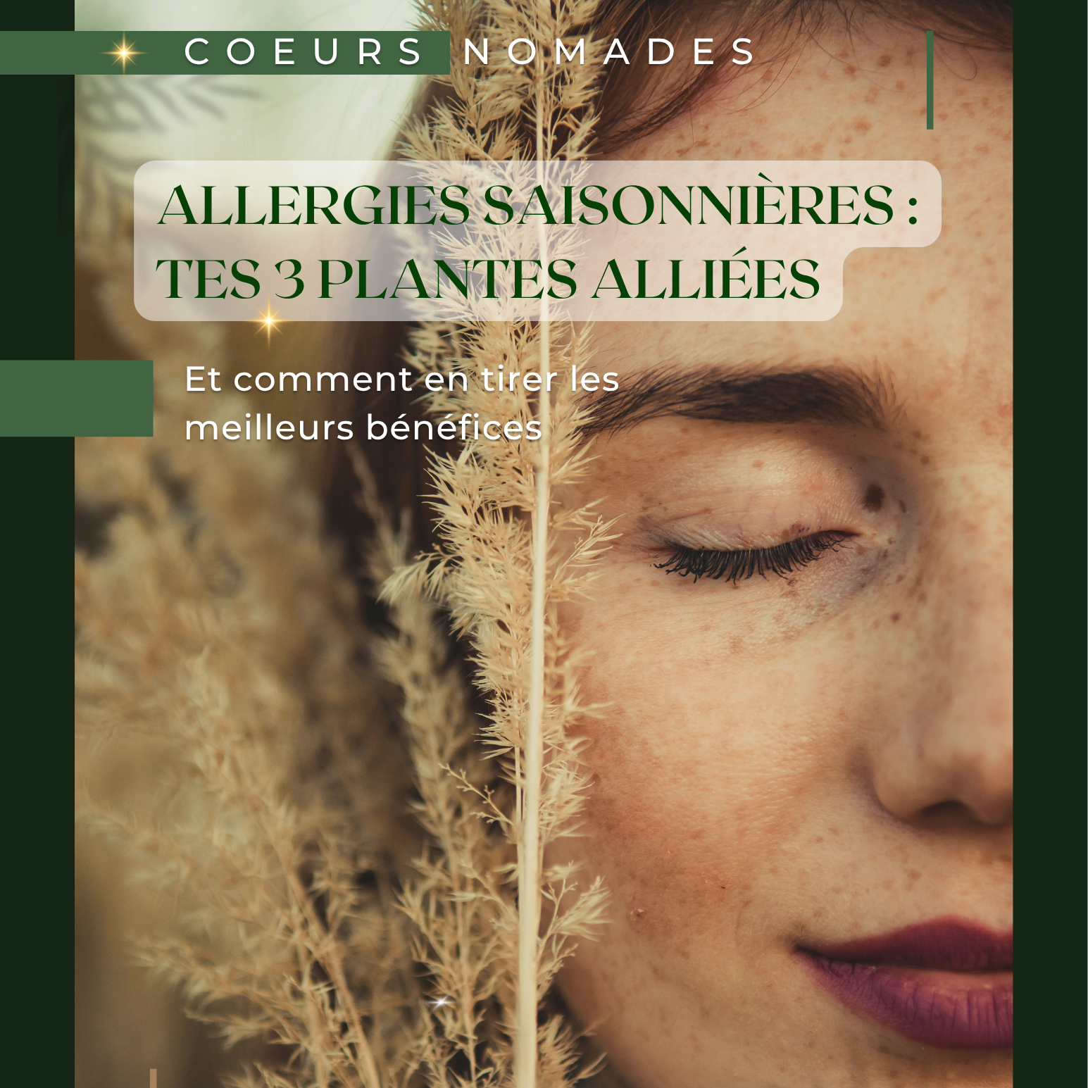 Guide Gratuit - Allergies Saisonnières : tes 3 plantes alliées