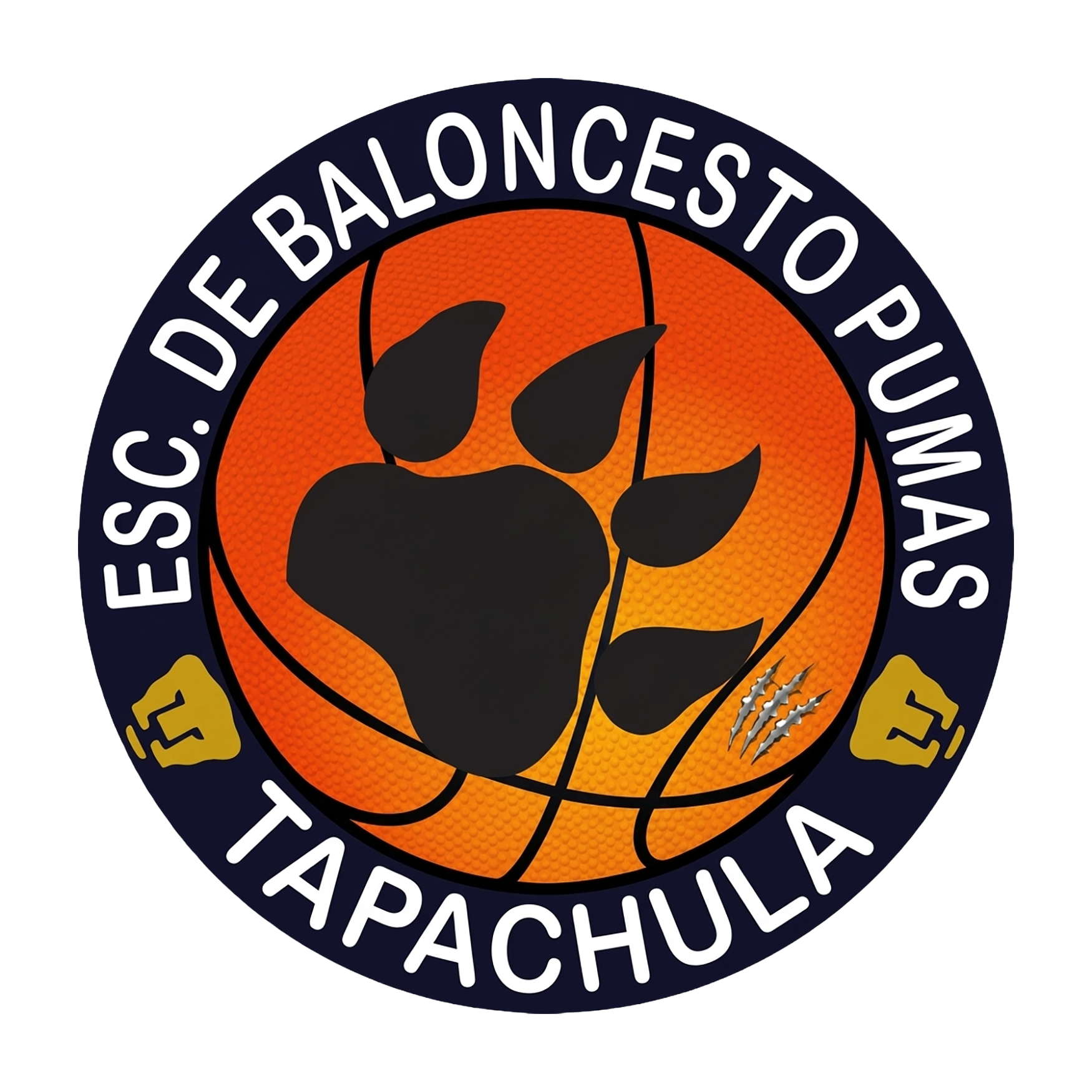 ESC. DE BALONCESTO PUMAS