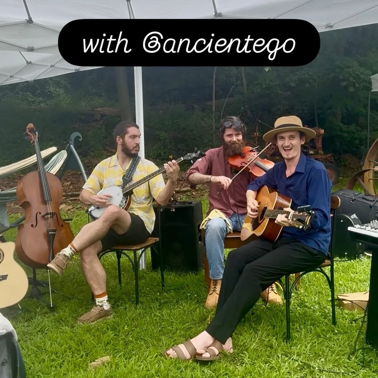 Three men sitting on chairs playing musical instruments outdoors under a tent; one playing a banjo, another a violin, and the third an acoustic guitar, with musical equipment nearby.