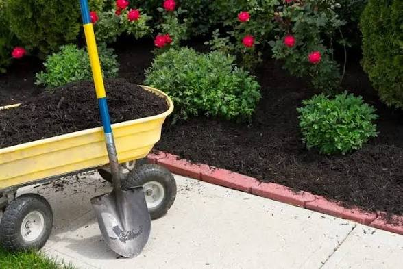 Wheelbarrow filled with soil next to a garden with pink flowers and green bushes, on a concrete pathway.