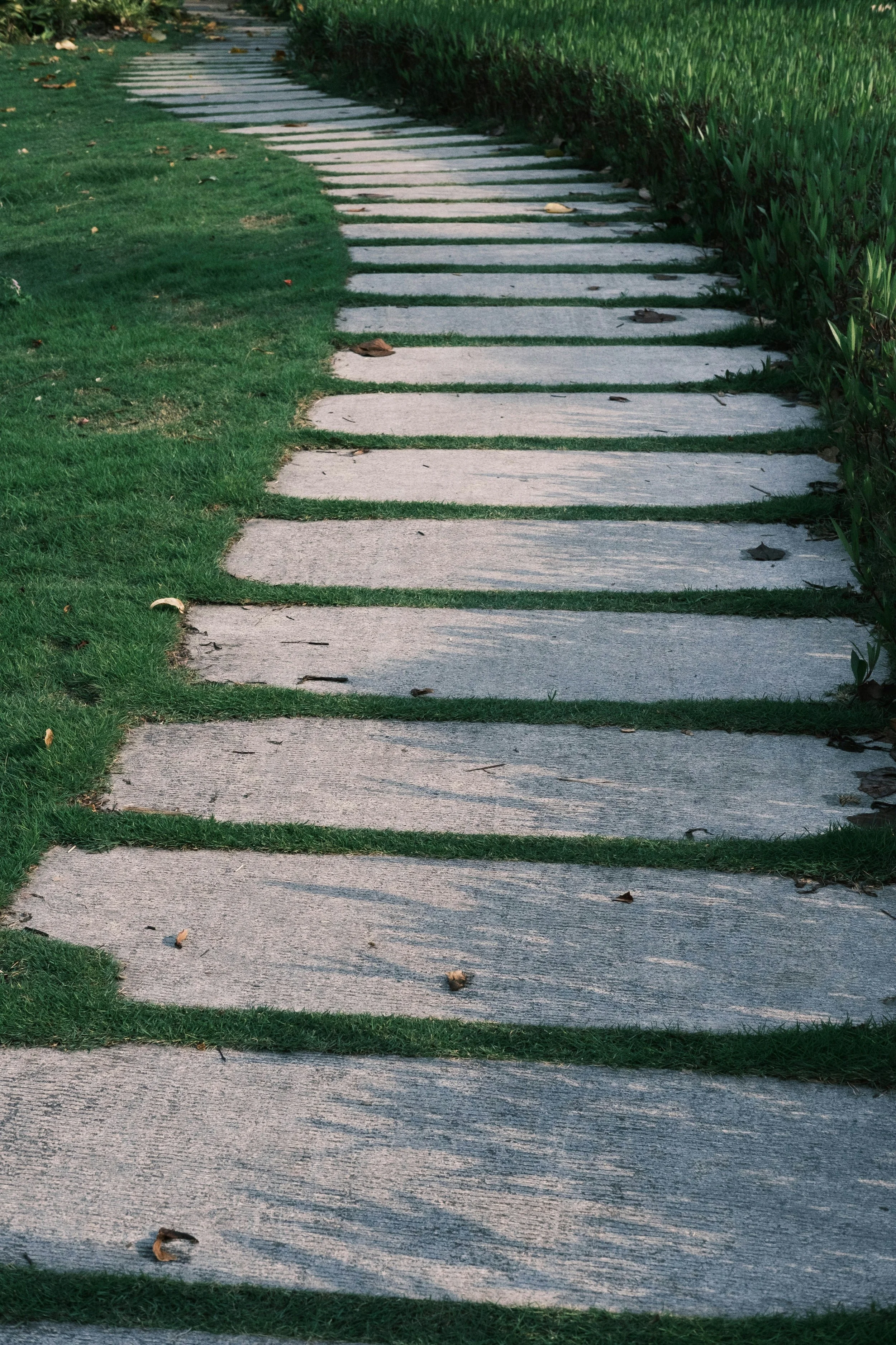 Oranssi project: wraparound deck