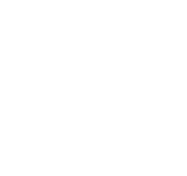 va_logo.png