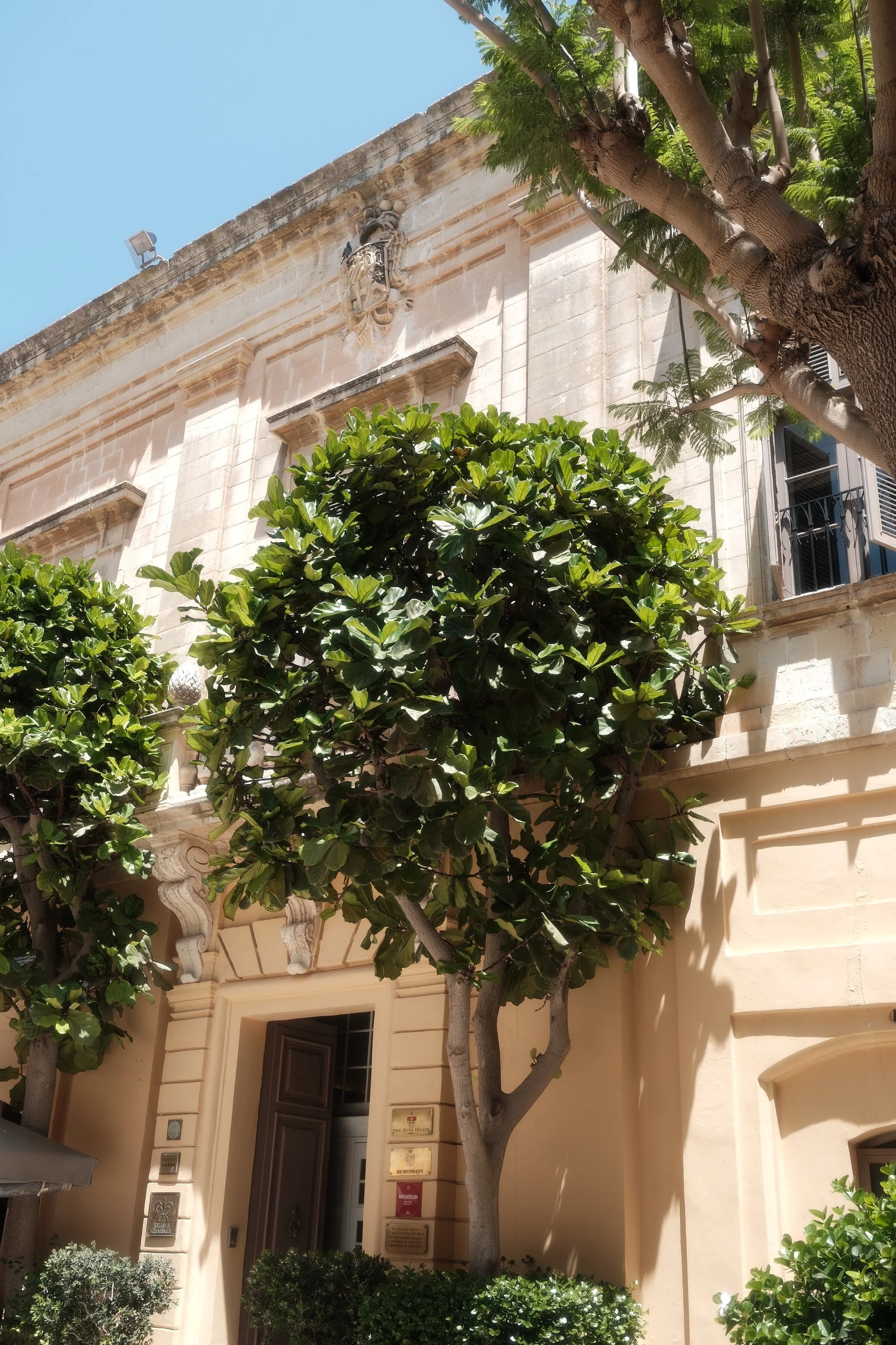 Residential building with ornate architectural details, multiple trees with lush green leaves, a clear blue sky, and shadows cast on the building.