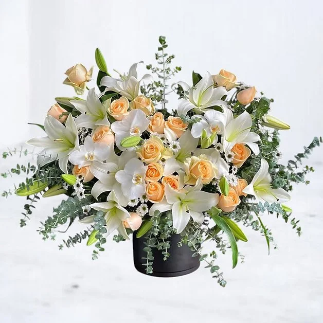 Ivory Solace Tribute