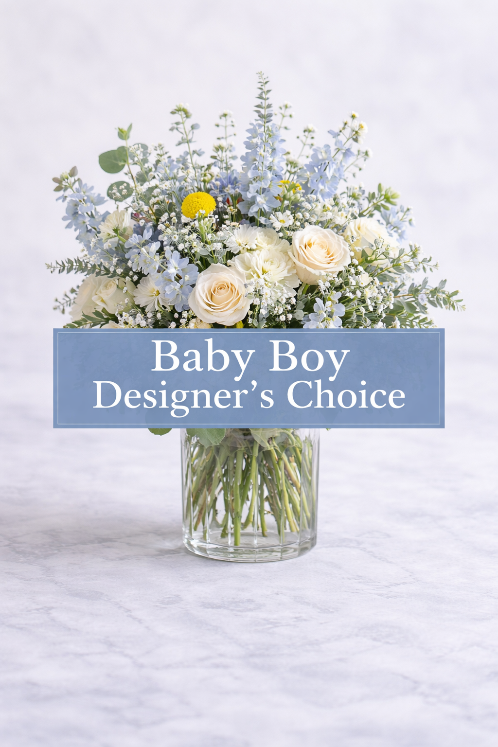Baby Boy Designers Choice
