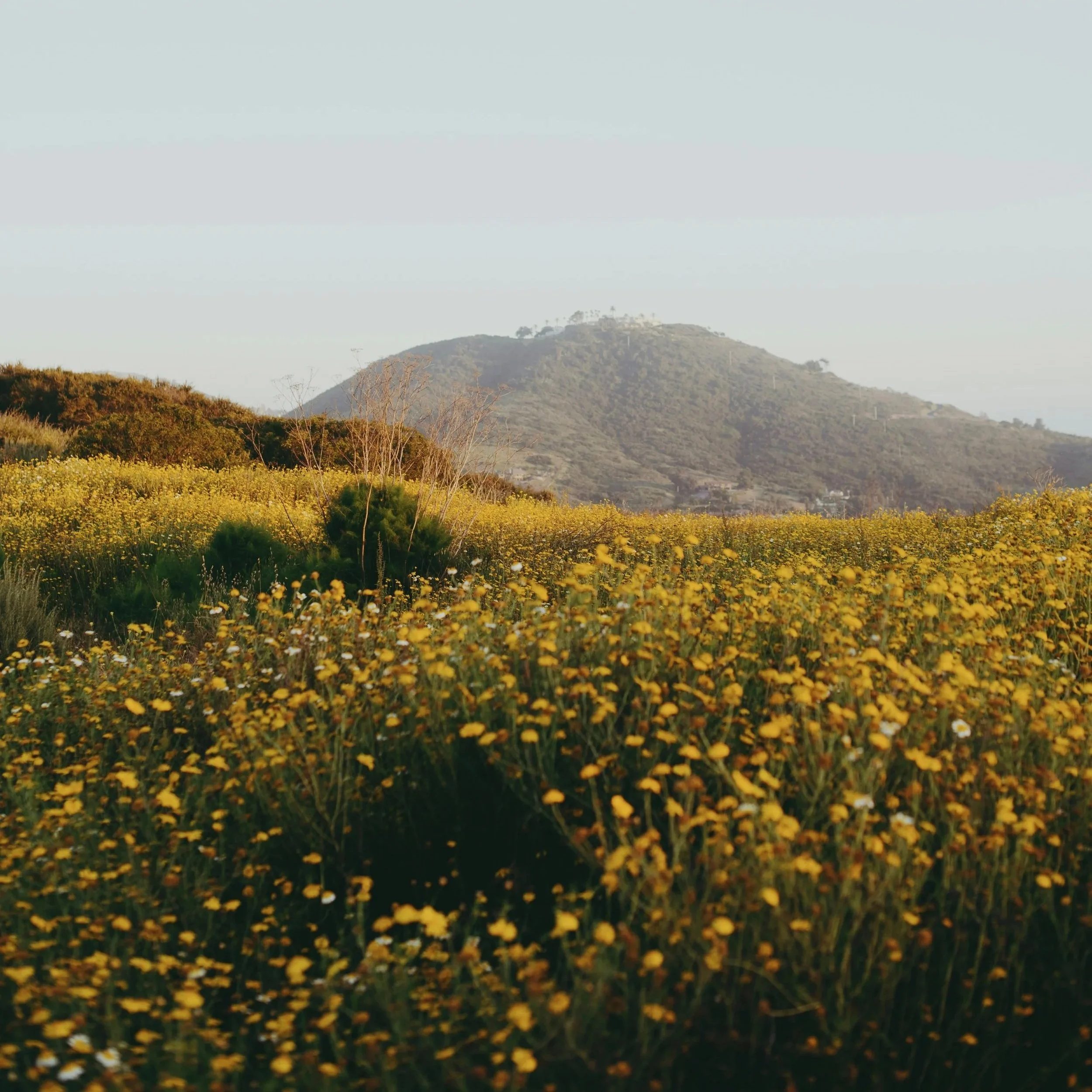 It's Not Just You: WHY SO MANY OF US FEEL BURNED OUT RIGHT NOW