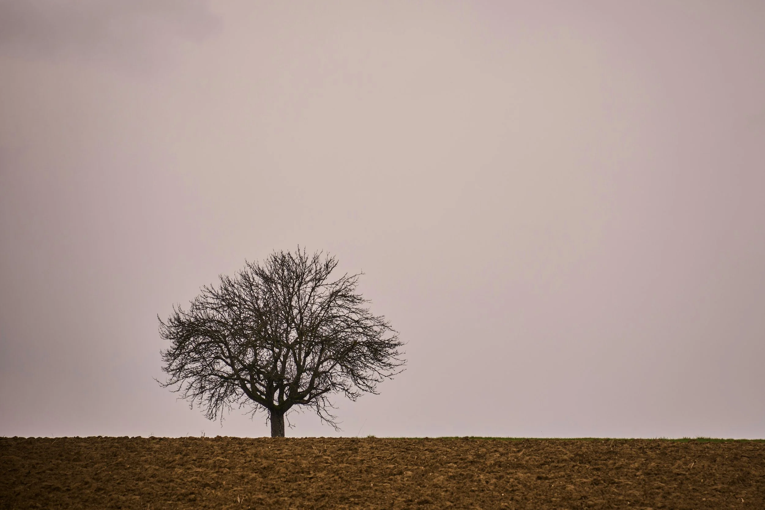 Eco-Grief: The Grief No One Taught Us to Name
