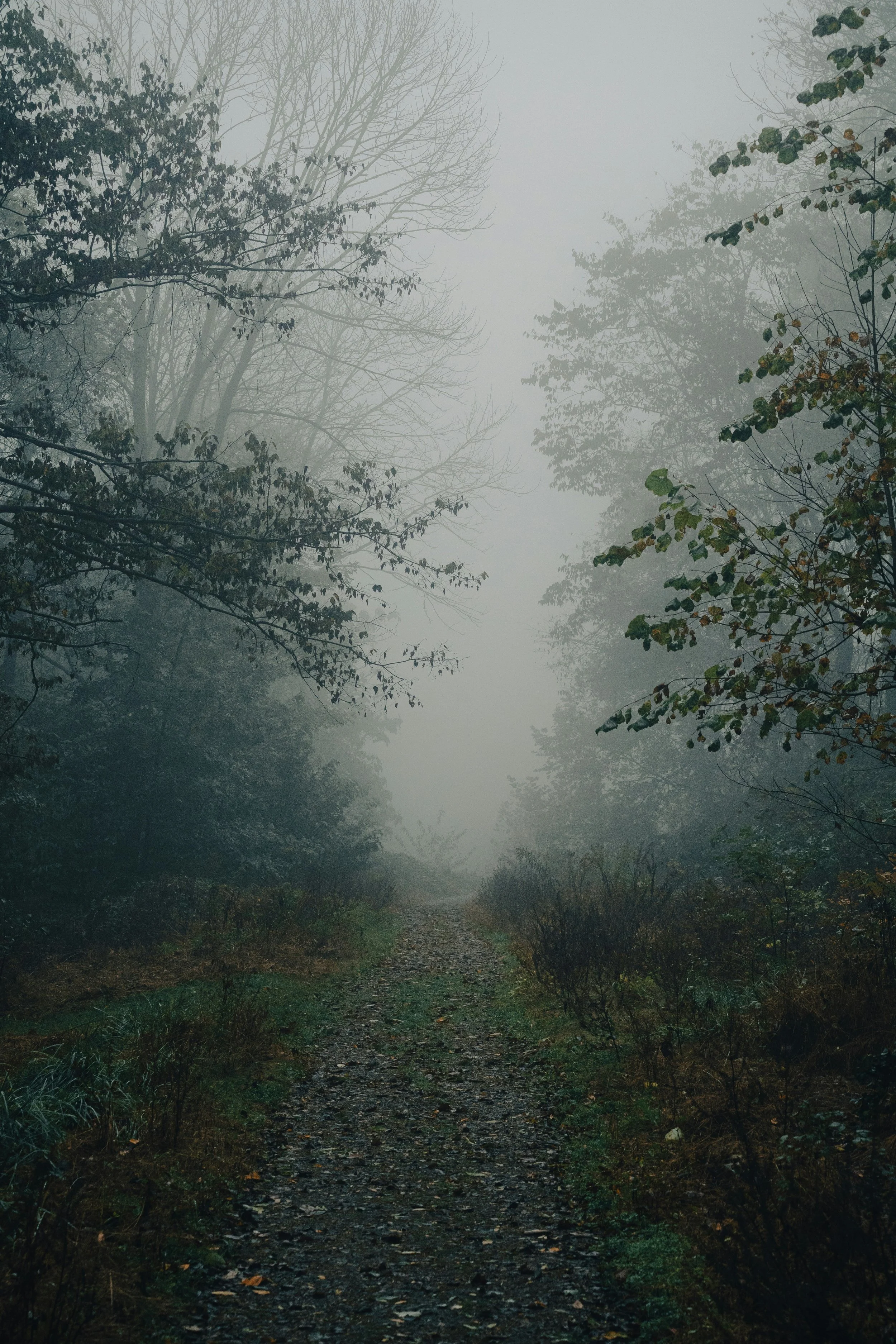 What Is EMDR — And Could It Help You?