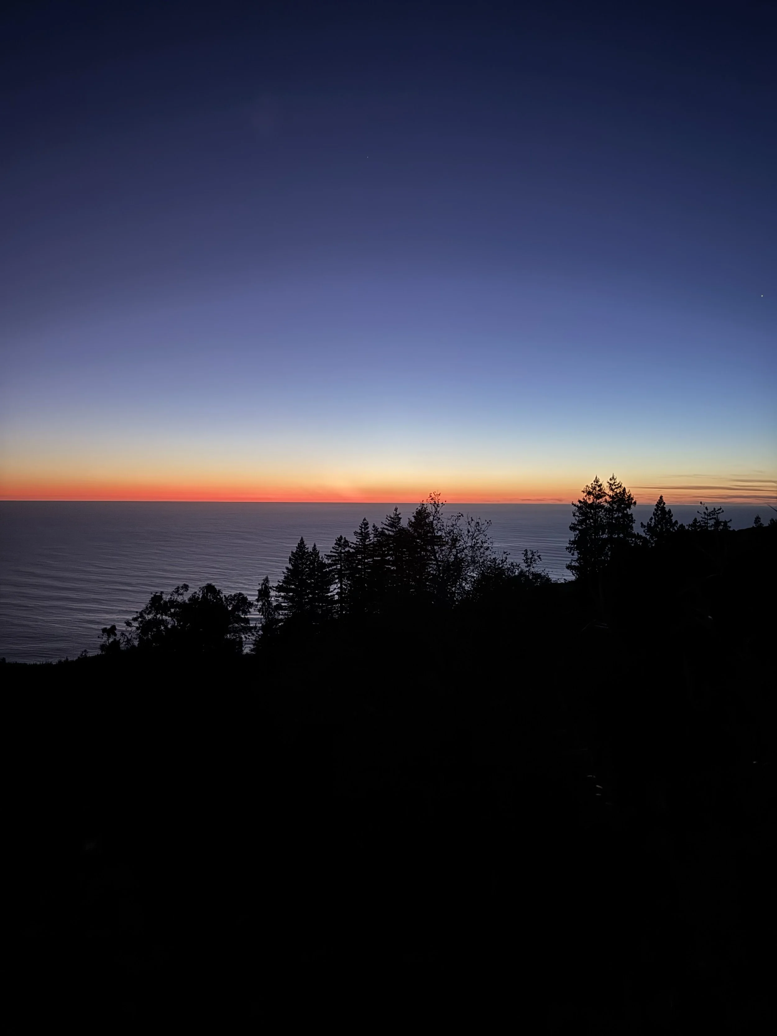 Deep blue and orange sunset over the ocean with tree silhouettes, representing wholeness and integration in holistic therapy