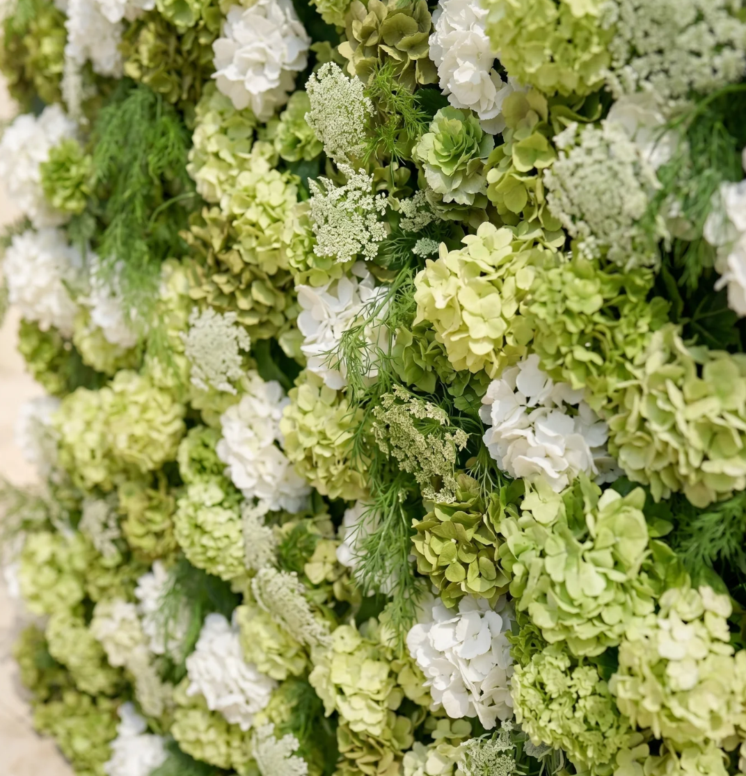 Hydrangea Wall an events rva 02.png