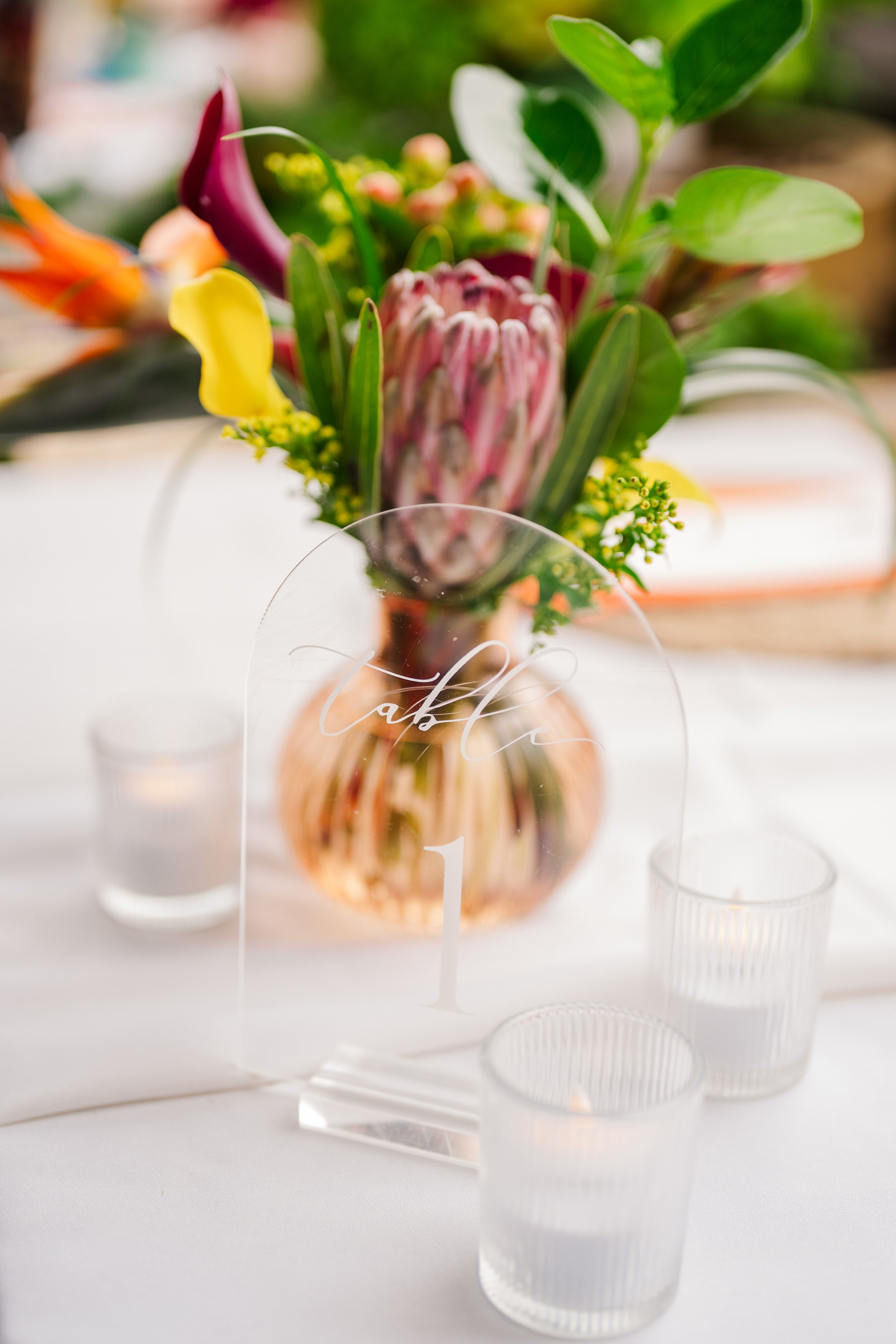 Paige & Giada Wedding 374w.jpg