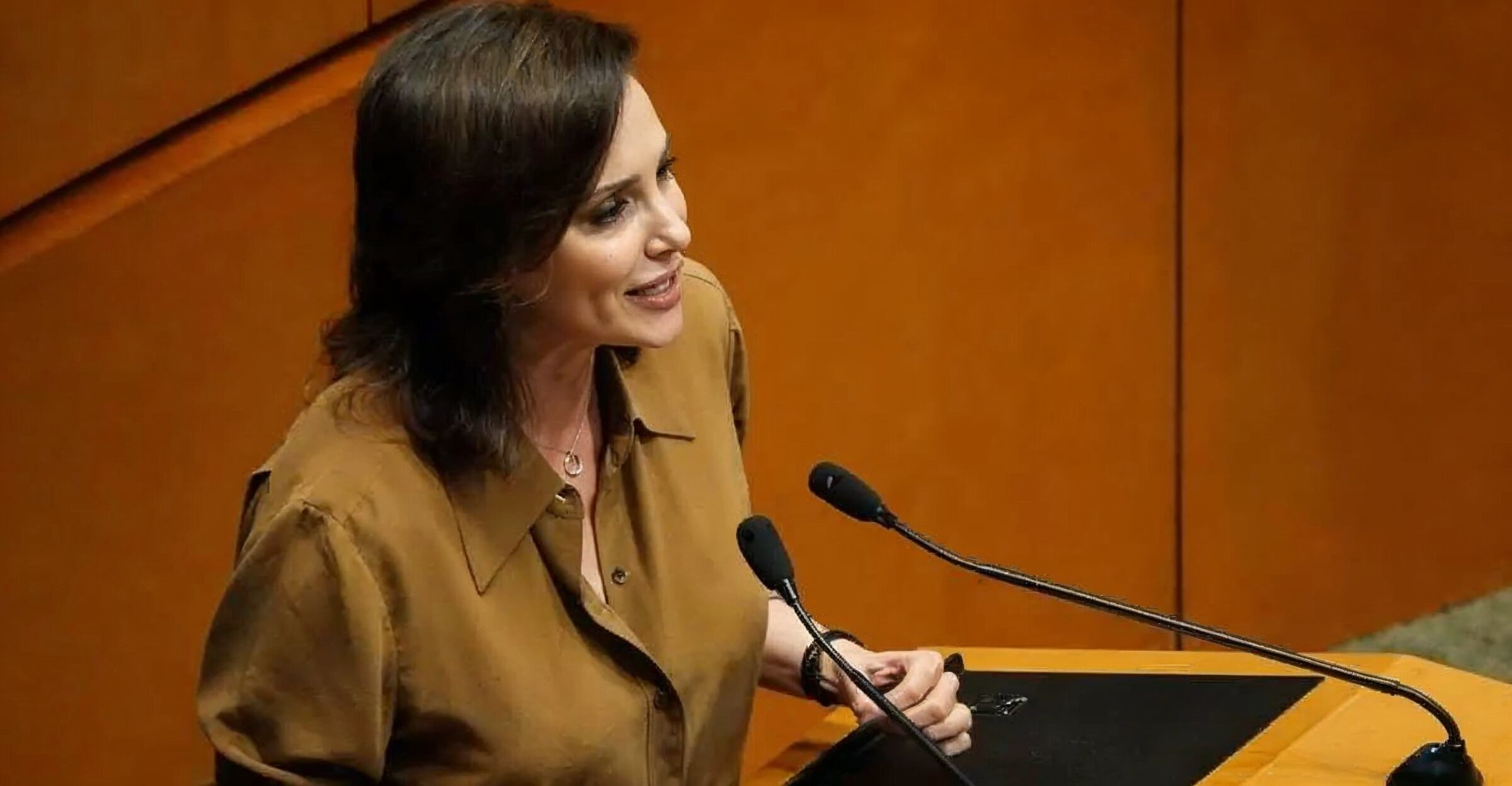 Artículo 33 en el foco: Téllez acusa a Pablo Iglesias de “injerencia” en México