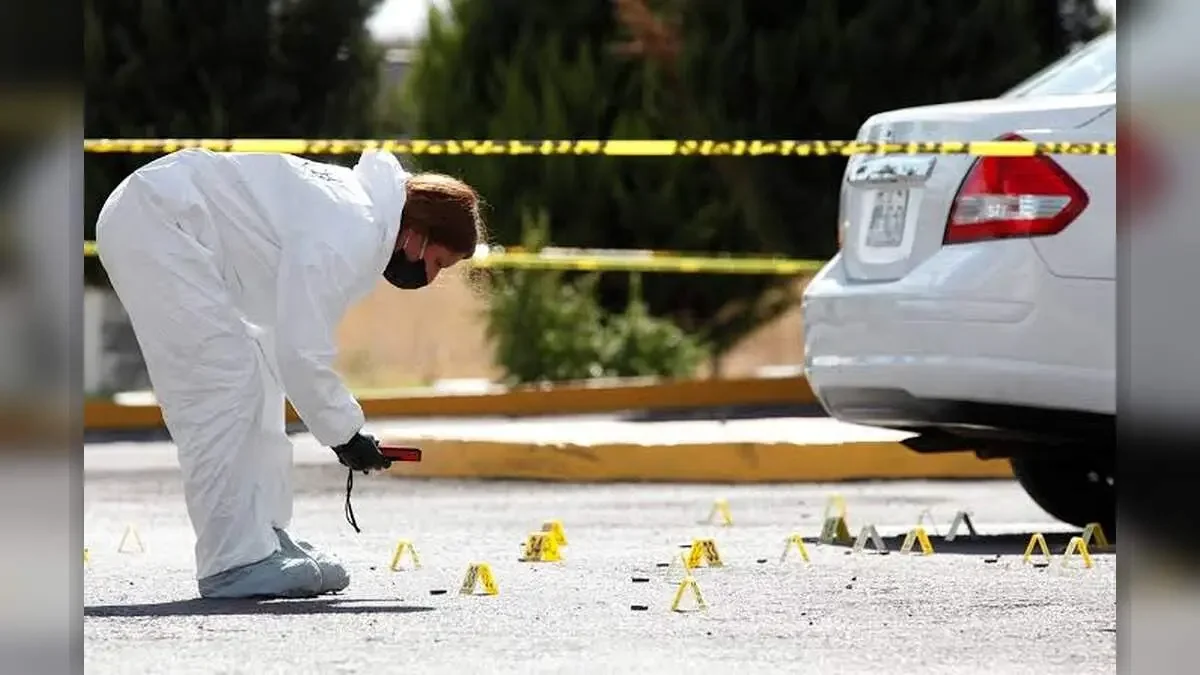 Zacatecas: el puente que destapó una red de miedo