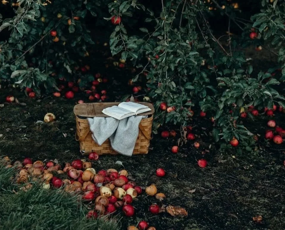 Ministry Must Be Deliberate, Not Casual: The Fruit Crushing Labor of Leisure