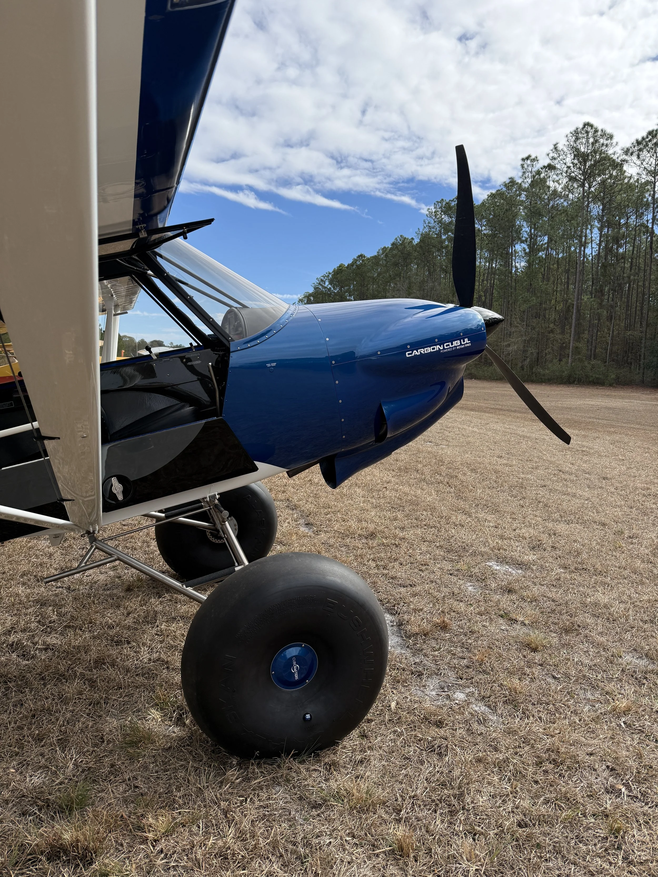 Carbon cub south east
