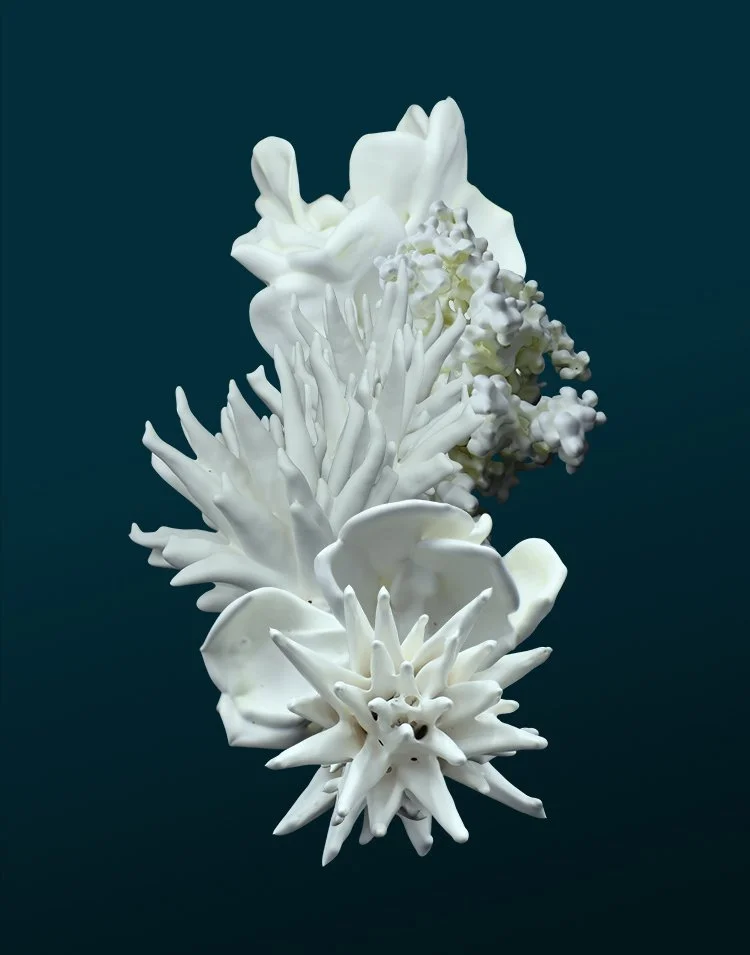 Fantômes d’aragonite II