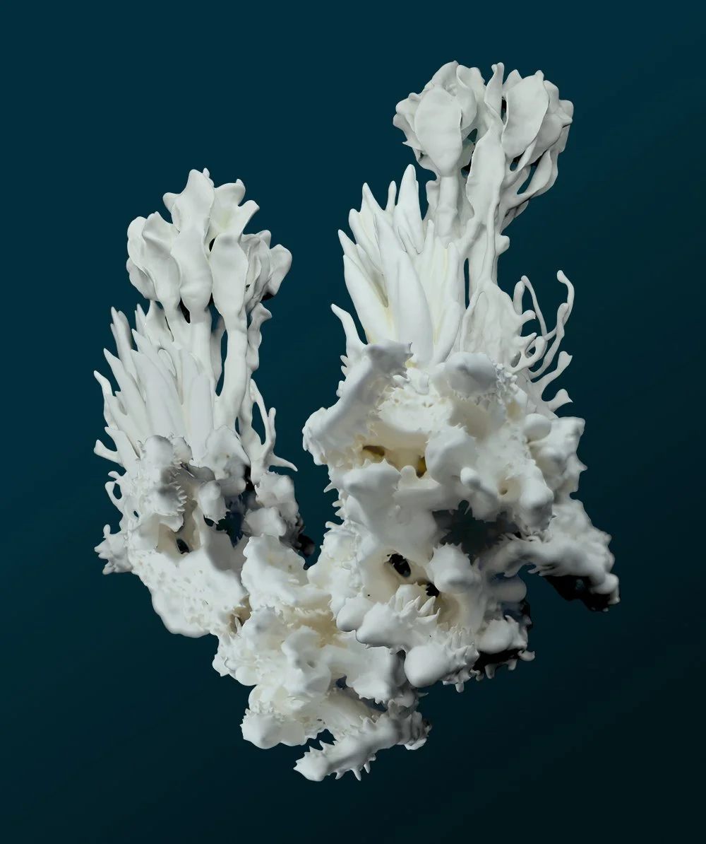 Flos ferri