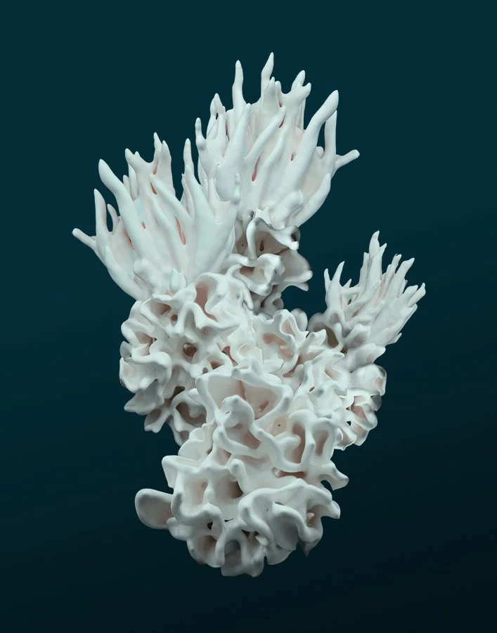 Fantômes d’aragonite I