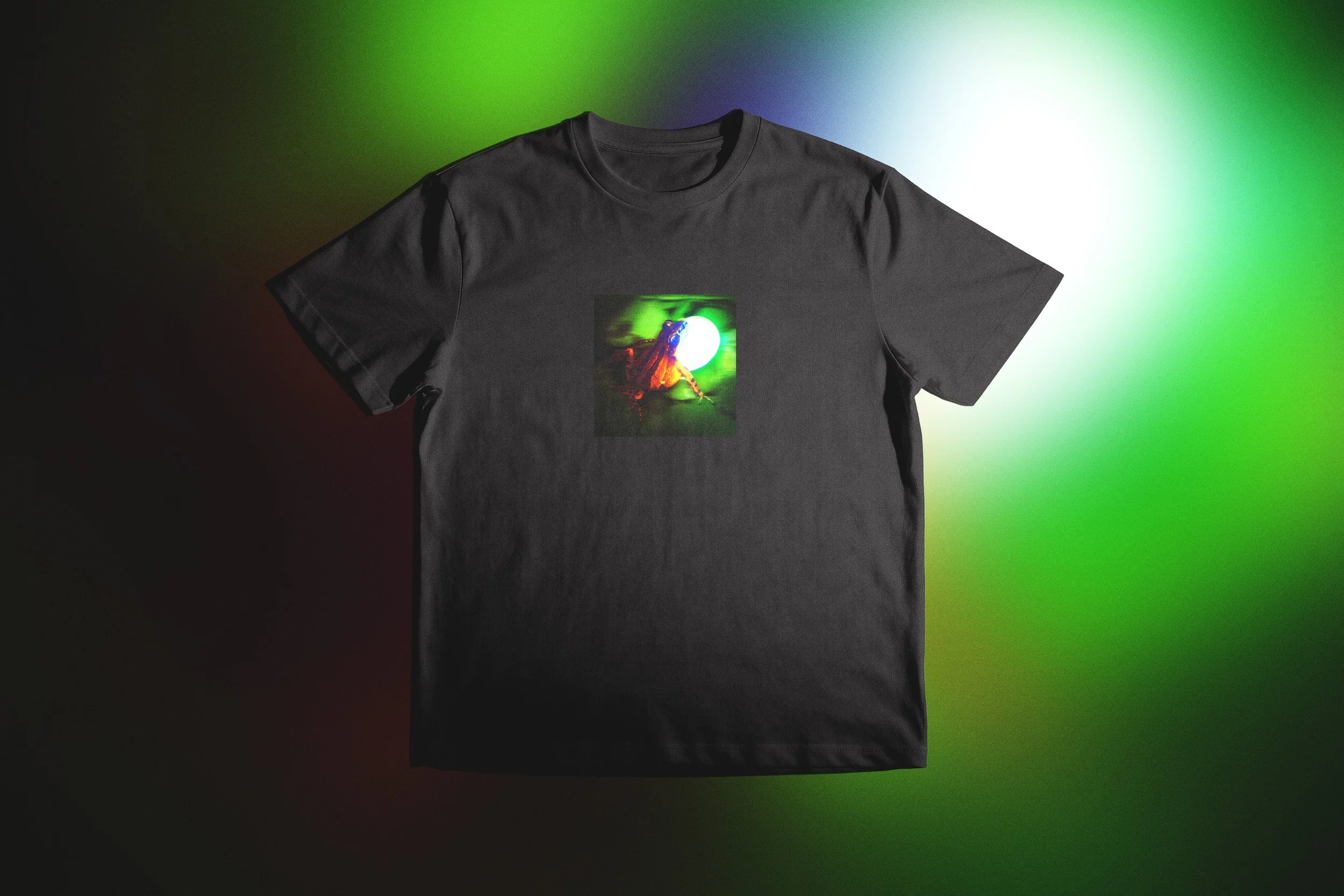 V1 / Wayfinder