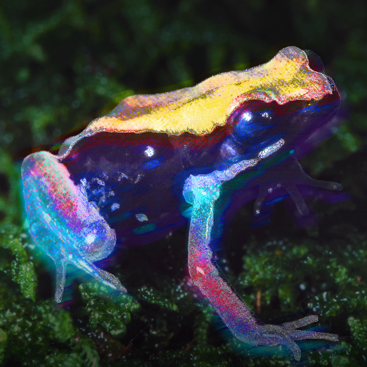 A colorful, translucent frog sitting on green moss in a natural habitat.