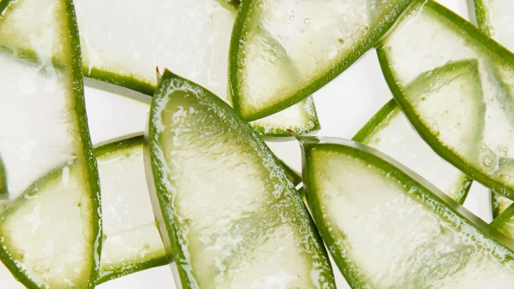Natural ingredient by nature. Sourcing and identifying your right ingredient thanks to internal carbonkare tool and a large expert network around the world