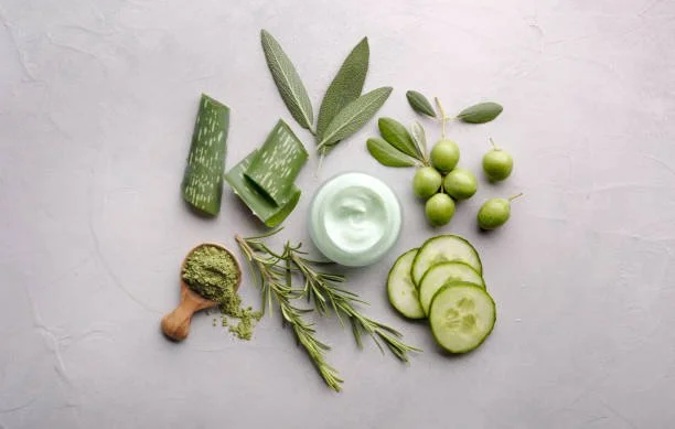Various natural skincare ingredients natural, botanical, regenerative beauty olive leaves and olives, cucumber slices, green clay, and rosemary.