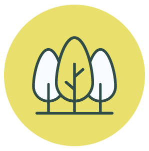 A simple graphic illustration of three trees in a row, with the middle tree being larger and darker, on a yellow circular background.