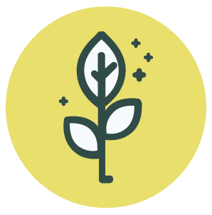 Stylized illustration of a plant with leaves on a light yellow circular background.