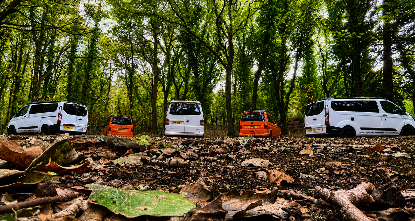 Six camper vans , three white and two orange, are lined up on a forest floor covered in dry leaves, with a backdrop of green trees.