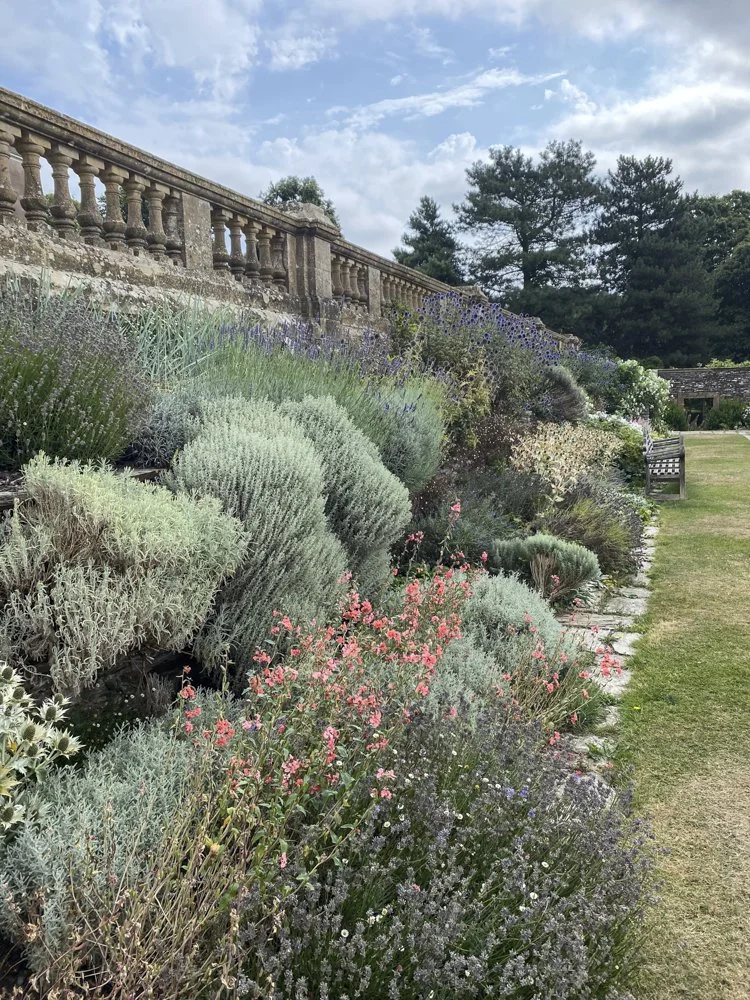 Claire Greenslade Head Gardener Hestercombe07.jpg