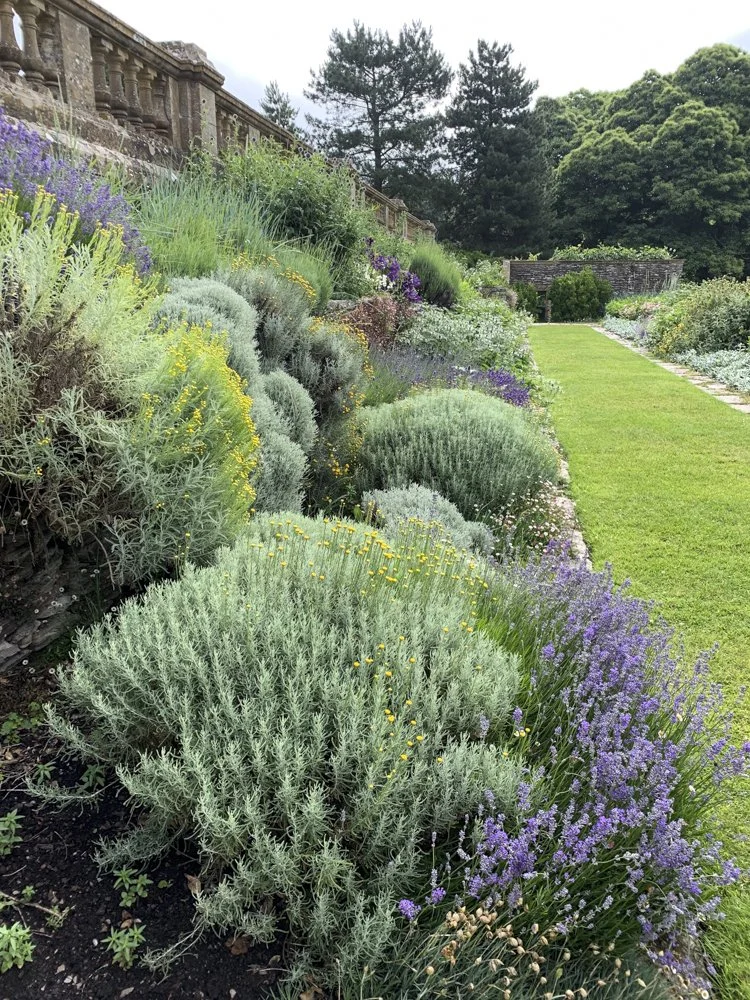 Claire Greenslade Head Gardener Hestercombe06.jpg