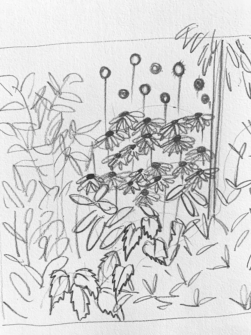 A pencil sketch of a garden with tall plants, some with flower buds on stems, and others with broad leaves, within a rectangular garden bed.