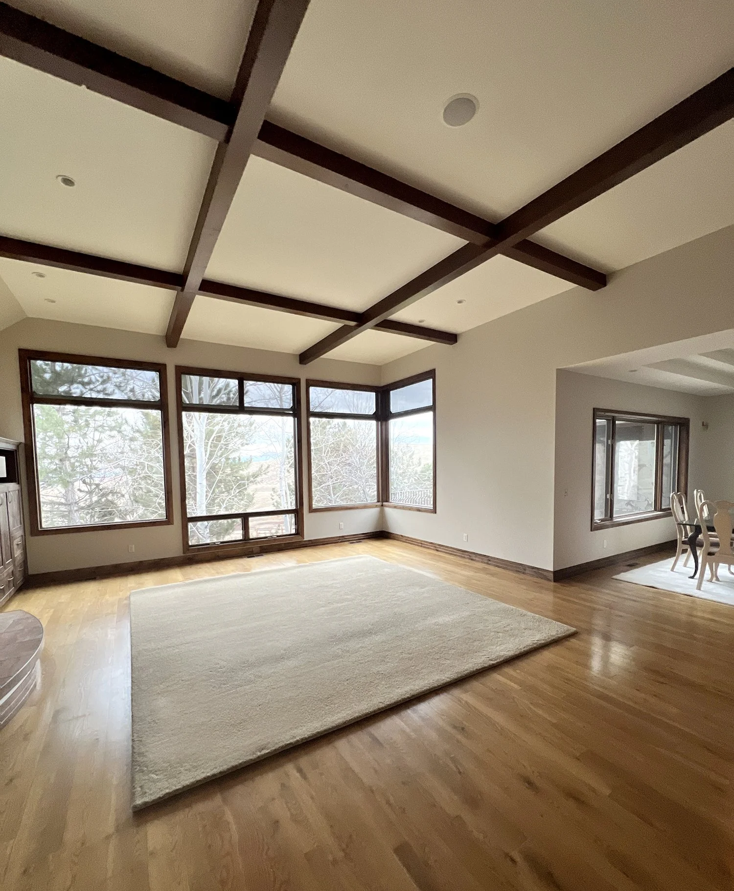 Empty living room with large windows, hardwood floors, and a beige area rug.