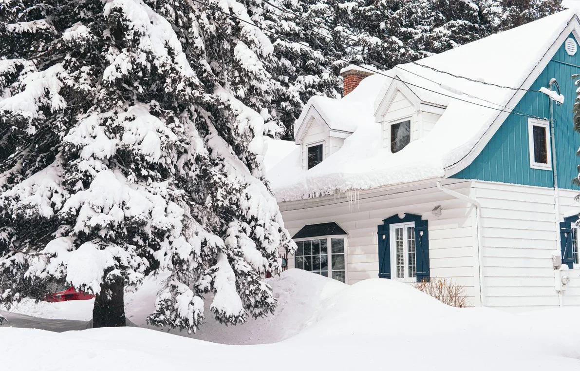 A snowy scene featuring a house with blue and white siding and a large snow-covered tree in front.