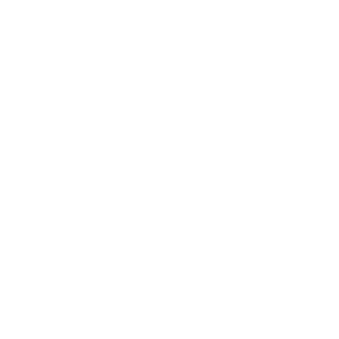 Stylized letter N forming a house with a pitched roof and chimney, in black and white for National Roofing St. Louis.