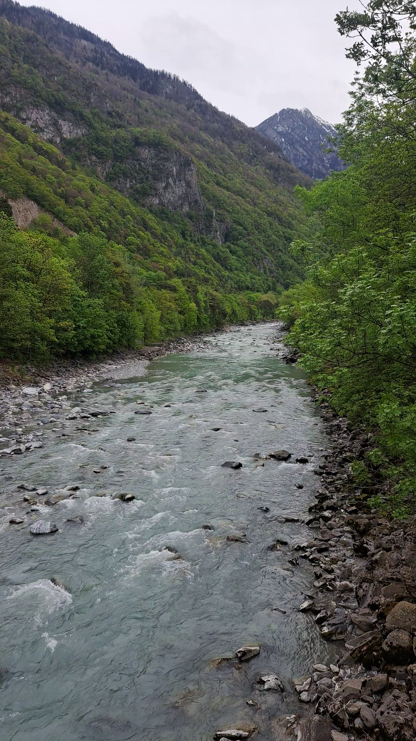 vlcsnap-2026-07-25-16h31m56s324.png
