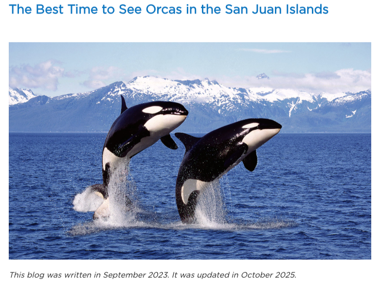 The Best Time to See Orcas in the San Juan Islands blog content refresh for Lakedale Resort on San Juan Island by Seattle copywriting team, Popa & Associates