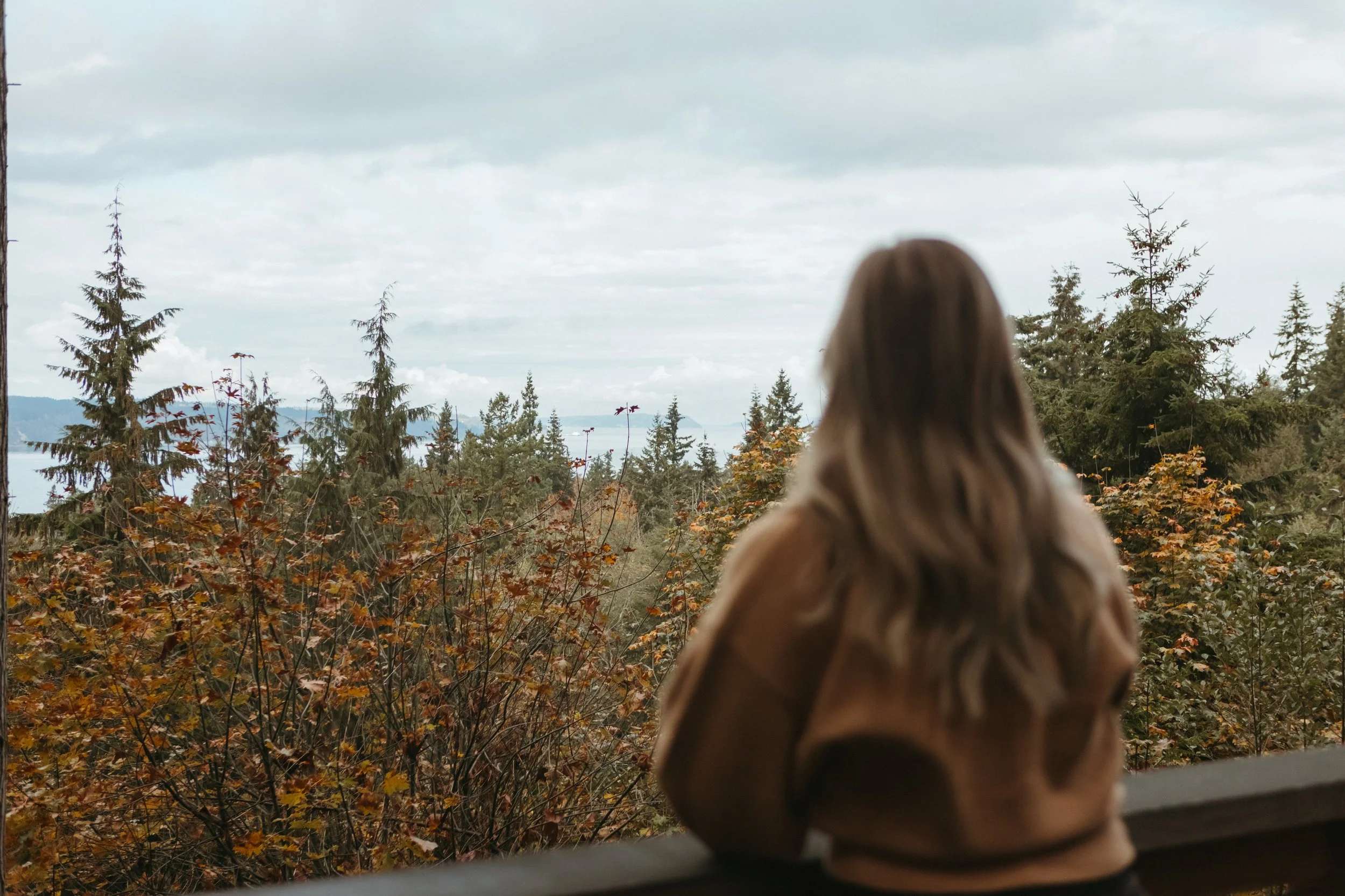 Person with long hair looking out over a forested landscape of tall evergreen trees and distant mountains on a cloudy day.