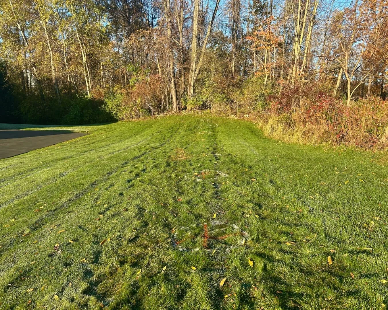 Open lawn area before the landscape project by Pines and Pavers in Brewerton, New York.
