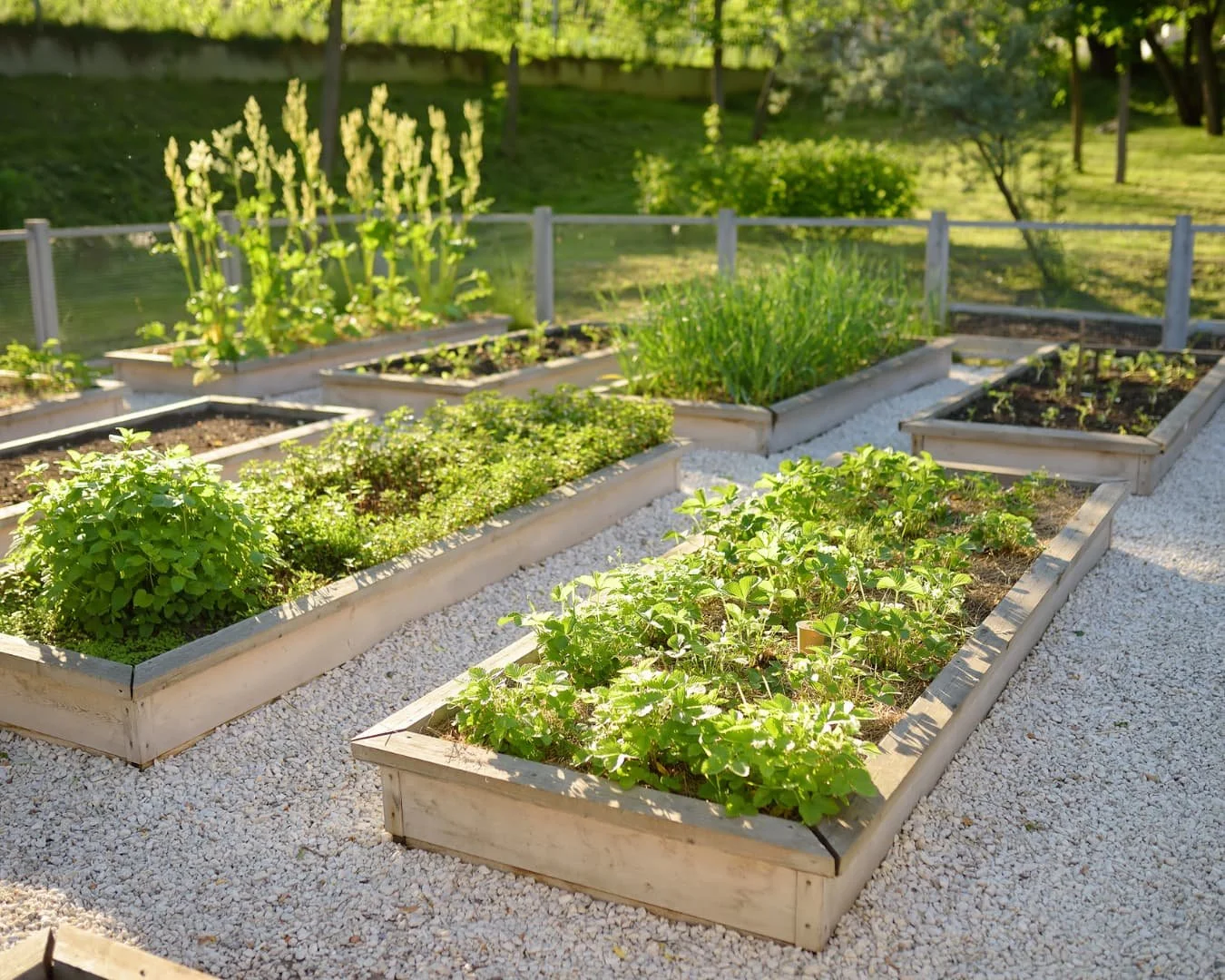 Edible garden inspiration featuring wood planter boxes filled with vegetables and herbs.